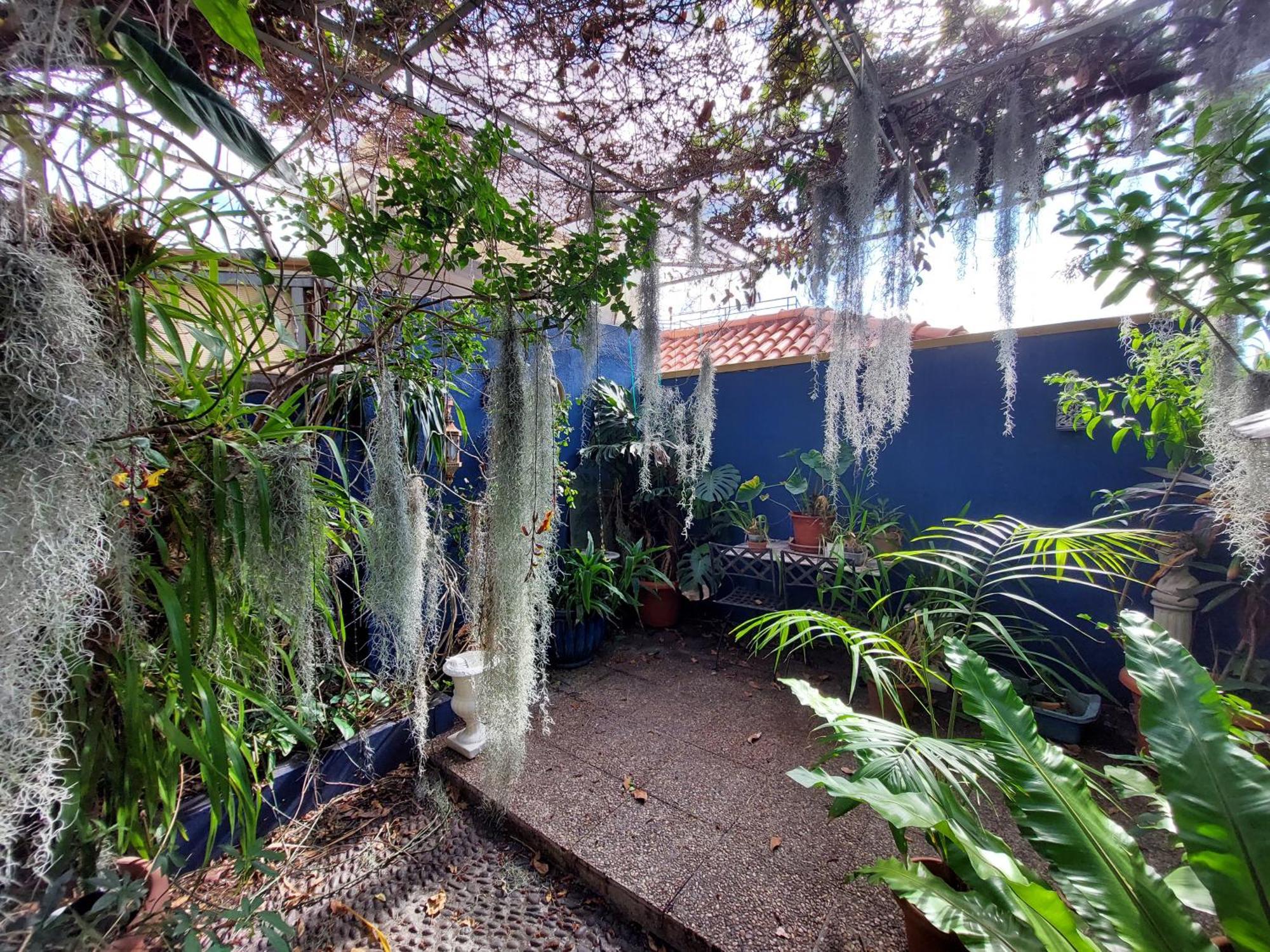 Casa Pico Musica Lejlighed Funchal  Eksteriør billede